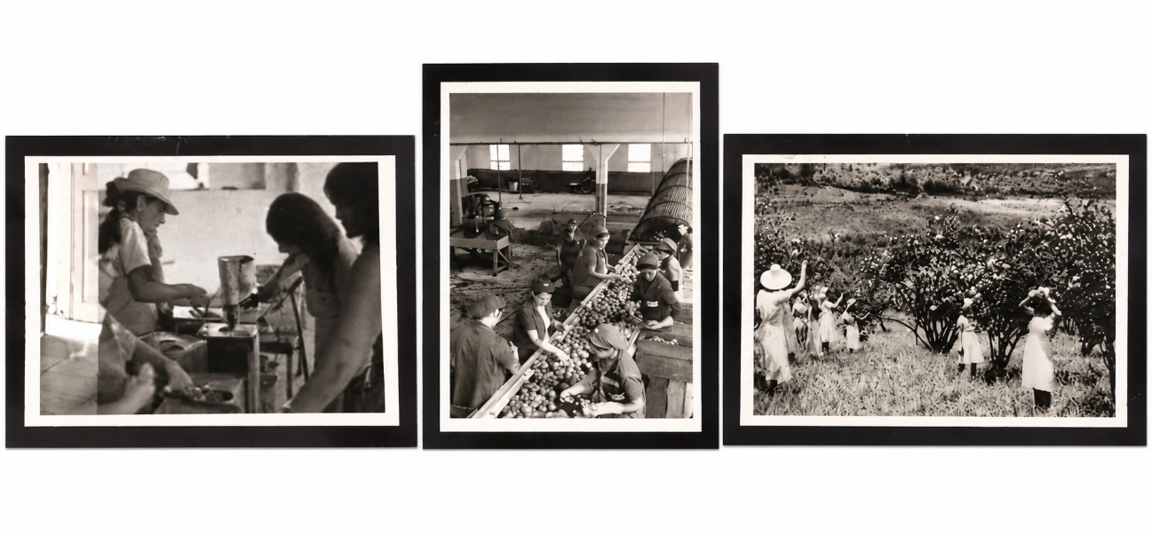 Composição com três fotografias históricas de mulheres em atividades de trabalho.