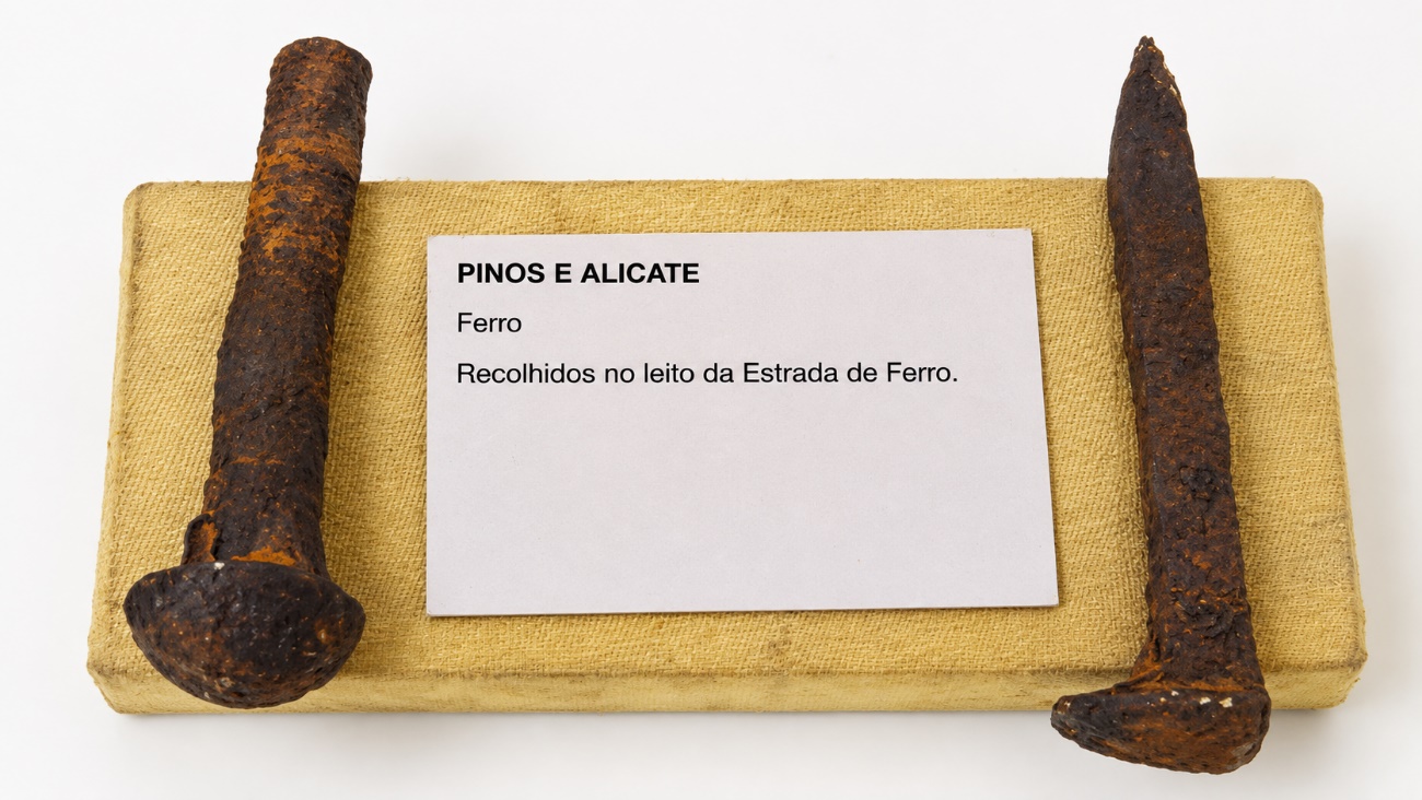 Dois pinos de ferro do acervo.